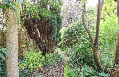 Primrose Cottage - Photo 30