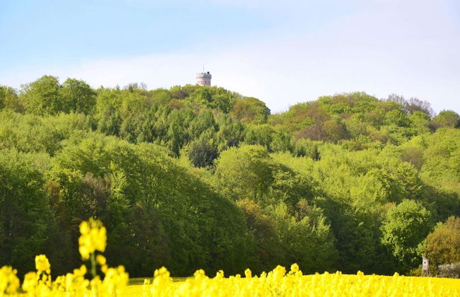 Apartment in a Lakeside Park in Sellin With a Balcony - Foto 59