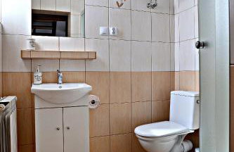 Drozdówka nad Soliną - Domki BOHO - Foto 37