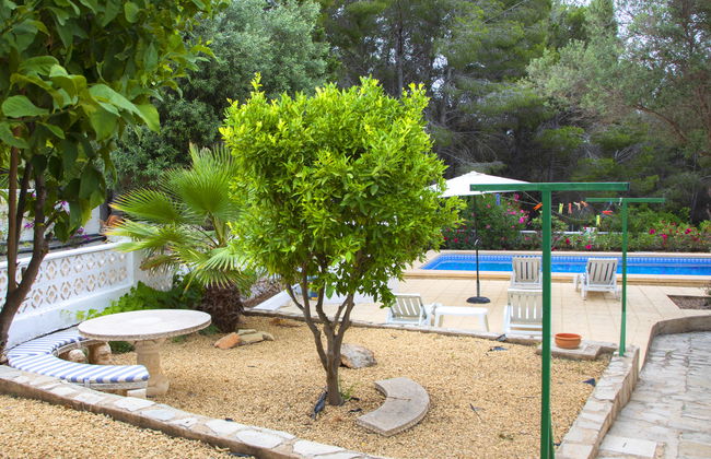 La Cigarra - Foto 19