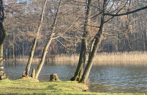 Nature Home Rybical - Foto 71