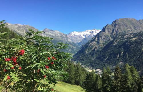 Baite Cialvrina - Foto 9