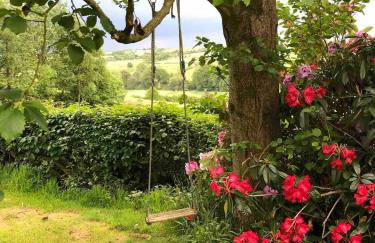 Bullclough loft - Photo 12