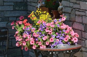 Residence Bellevue - Foto 42