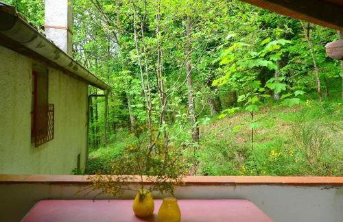 Peaceful Retreat With Shared Pool - Foto 13