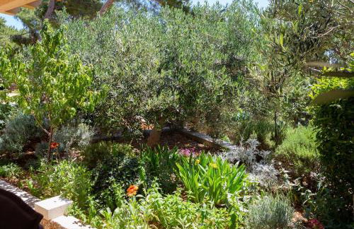 Apartments Silvana - Foto 58