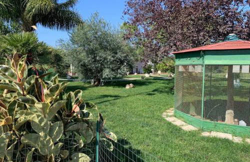 Ricciardulli Rooms - Foto 29