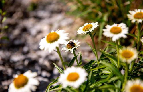 Wintertraum in Damm - 70 qm Wellness & Wohlfühl-Atmosphäre - Foto 48