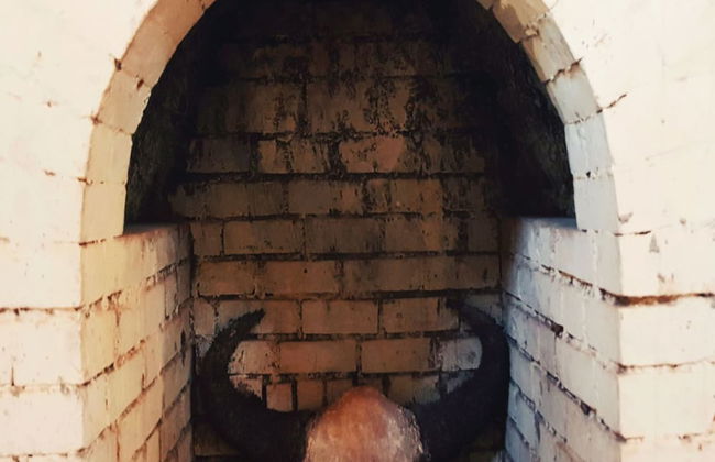 Forest Trails Adventure Resort - Foto 23