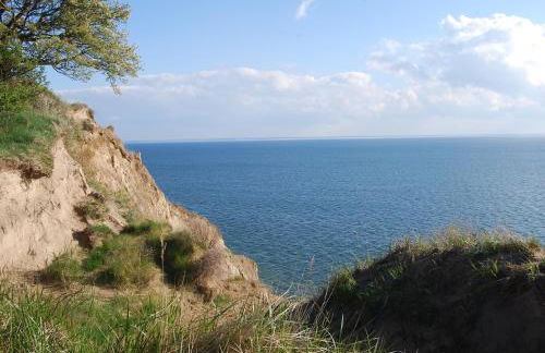 Alte Fischerkate und Möwennest - Foto 5