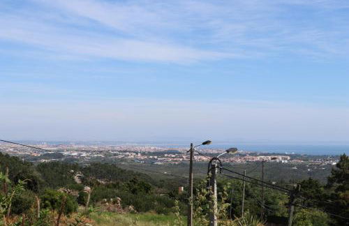 Between Mountain And Sea - Foto 30