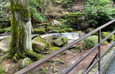 Dom górski do wynajęcia 3 km od Karpacza Sudecka 100 - Foto 25