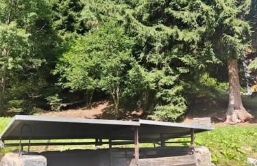 Appartamento sulle piste Folgarida - Photo 18