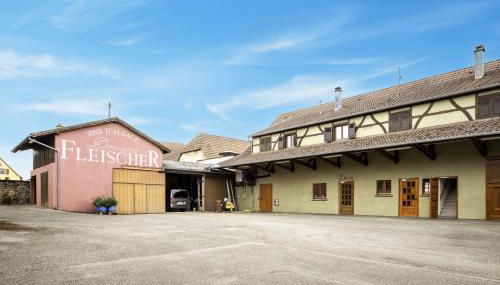 Route des vins d'Alsace - Gewurztraminer - Foto 2