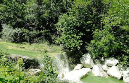 Parco di Montebello - Foto 8