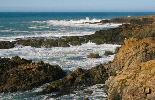 Dolphin by OceanviewHotTubs Oceanfront Shelter Cove Tesla - Foto 18