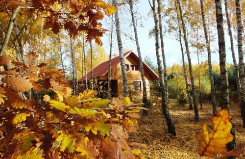 Sumówko Leśne Siedlisko - Foto 30