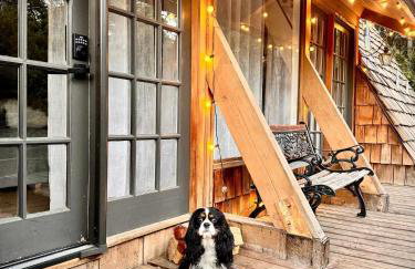 Clarity Cabin A-Frame Sanctuary w Hot Tub Fireplace Grill AC Hammock Chairs Fire Pit Pets OK - Foto 40