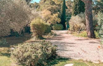 Petit Paradis Mazet - Photo 32