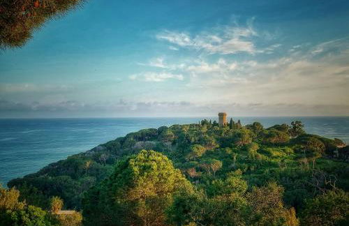 Apartaments Voralmar - Photo 15