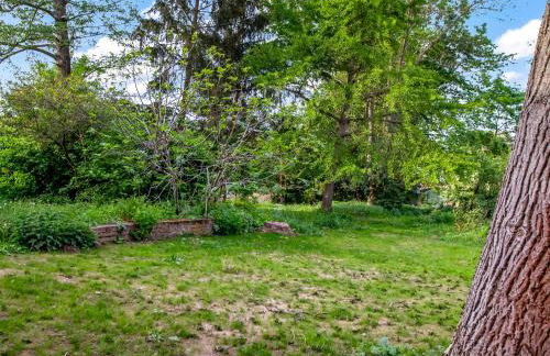 Altstadt Apartment am Wasser mit großem Garten - Photo 21