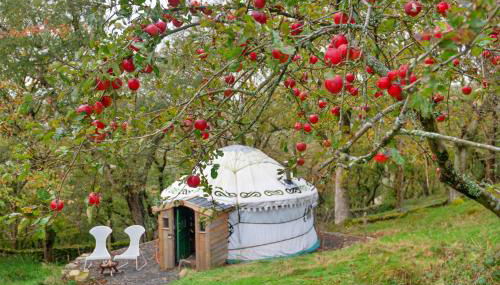 Finest Retreats - Pandy Mongolian Yurt - Foto 3