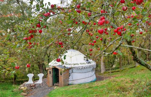Finest Retreats - Pandy Mongolian Yurt - Foto 3