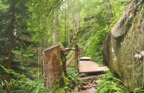 Ferienwohnung Schwarzwald Oase Kniebis - Foto 18