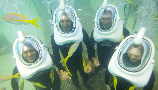 De Palm Island + Sea Trek - Foto 3