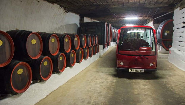 Adegas de Cricova
