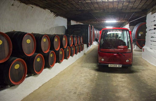 Bodega de Cricova + Monasterios de Orheiul Vechi y Curchi - Foto 5