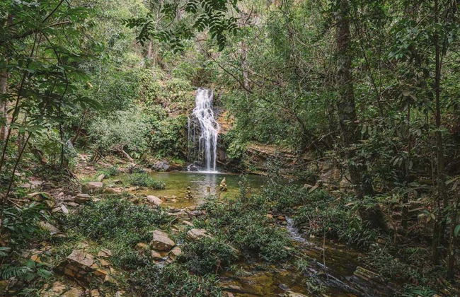 Bonsucesso Waterfalls Hike - Foto 6