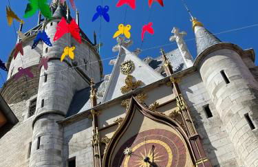 Le Pigeonnier centre historique Auxerre - Foto 61