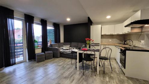 Apartamenty Parkowe nr 7 - Foto 2, stove