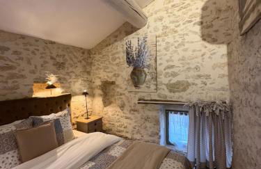 Domaine de la barbeirasse - Foto 72