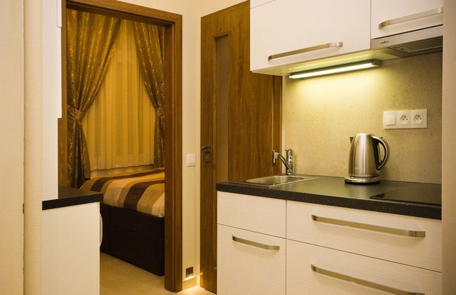 Apartment Karla Capka Street - Foto 25