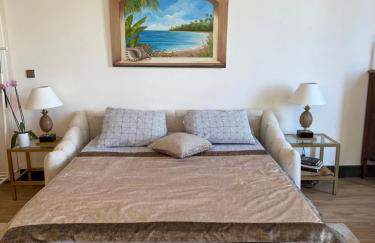 Magnifique studio entier avec terrasse Saint Jean Cap Ferrat - Photo 4