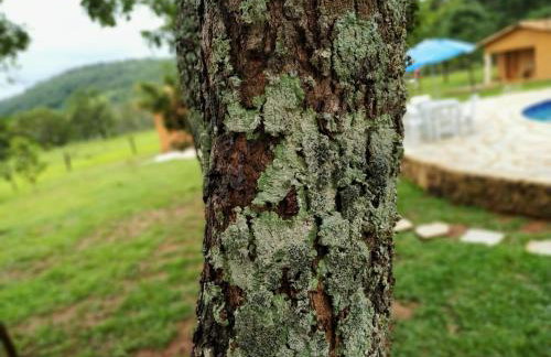 Recanto do Baru - Foto 21