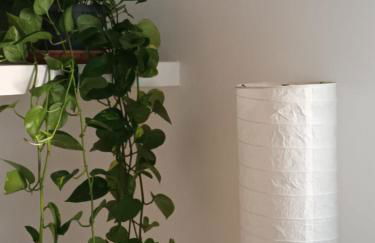 Casa verde di Mia - Foto 2