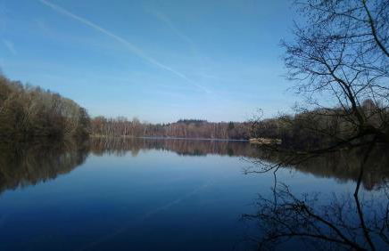 Reiterhof Groß Stubben - Foto 32