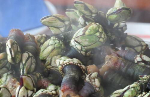 Villa Casa de Campo Los Carballos - Photo 49