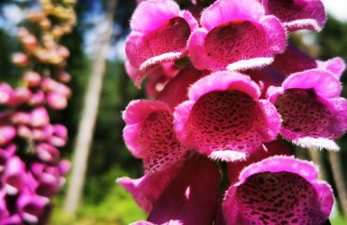 Miuti Residence - Foto 49