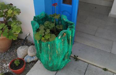 Vitzileos Studios - Foto 11