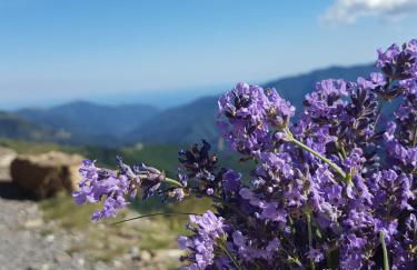 A Cà du Mègu - Charme a 100 mt dal mare - Photo 35