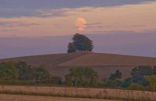 Oxfordshire Country Cottage - Foto 78