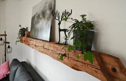 Schwarzwaldraum Schlossblick - Foto 8