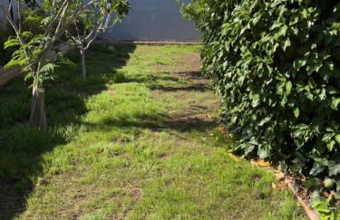 The Bird House - Foto 18