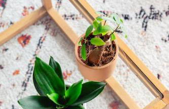 LA BELLE ROSE - Appartement 4 personnes proche gare Bordeaux - Foto 29