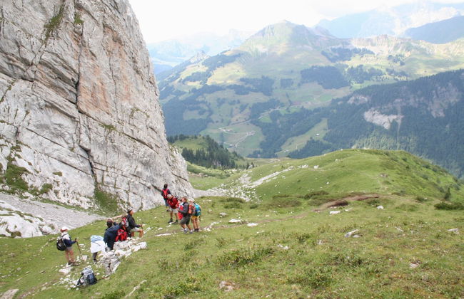 Le Pavillon des Fleurs - Foto 13