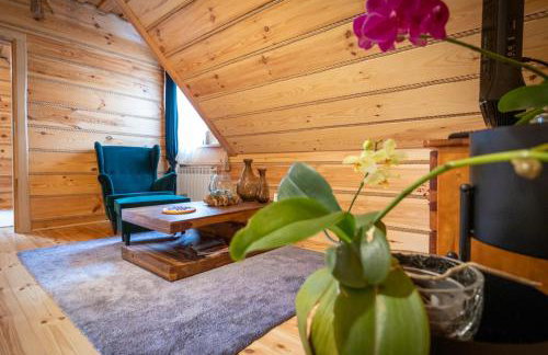 Nadleśniczówka - Bieszczadzka Zagroda - Foto 49